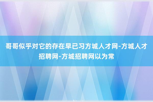 哥哥似乎对它的存在早已习方城人才网-方城人才招聘网-方城招聘网以为常
