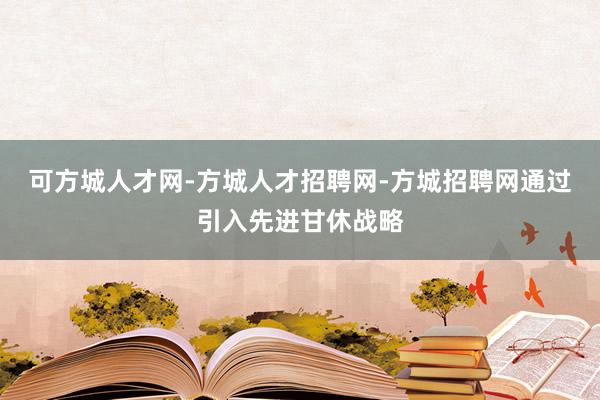 可方城人才网-方城人才招聘网-方城招聘网通过引入先进甘休战略