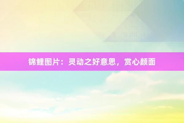 锦鲤图片:灵动之好意思,赏心颜面